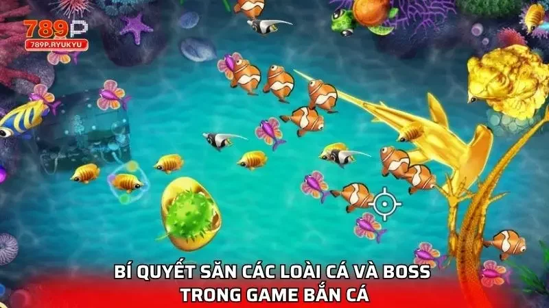 Bật mí mẹo săn cá siêu hấp dẫn newbie nên nắm